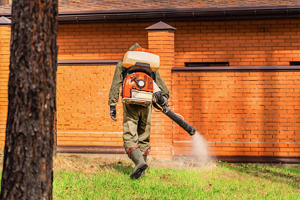 Trusted Ant Control service in Village of Waukesha, WI - Nex Pest Control